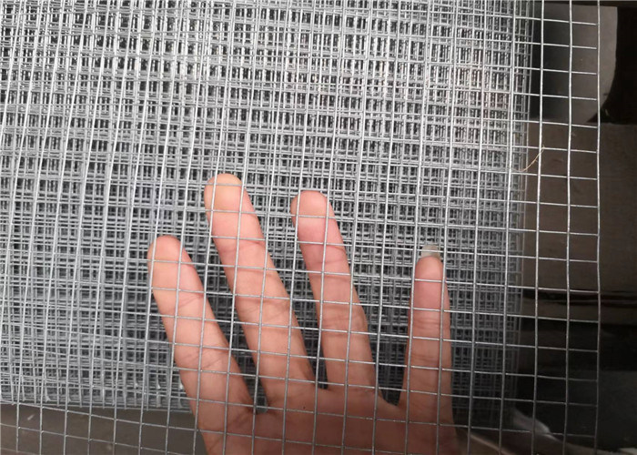 1/4 Inch Welded Wire Bird Cage Panels Hardware Cloth Galvanized