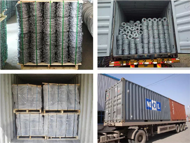 Us Standard Galvanized Barbed Wire 4 Points 5" Spacing Class 1 2