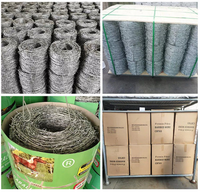 Green Pvc Coated Decorative Barbed Wire With 4 Points 2 Strand Braid 2
