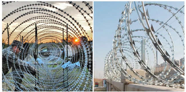 Green Pvc Coated Galvanized Coils Of Barbed Wire For Security Fence 0