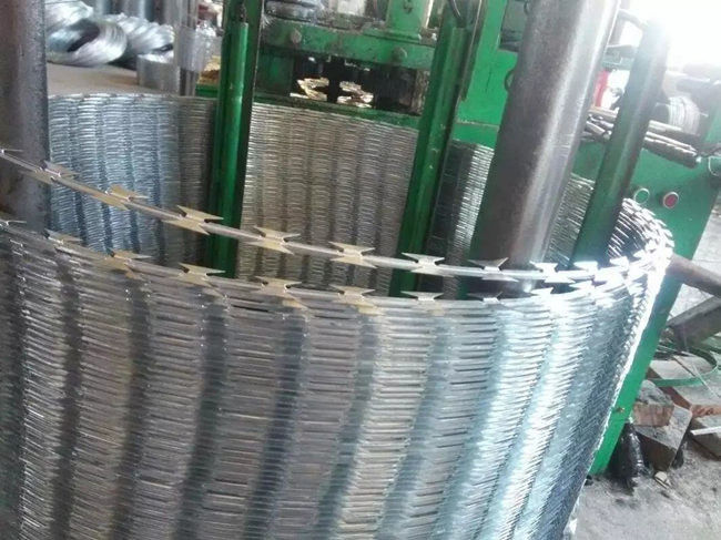 Hot Dipped Galvanized Razor Barbed Wire Bto-22 Flat Wrap Blade Mesh 0