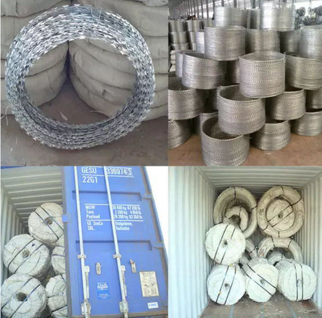 PVC Sprayed Razor Barbed Wire CBT65 Army Border Electro Galvanized Coiled 1