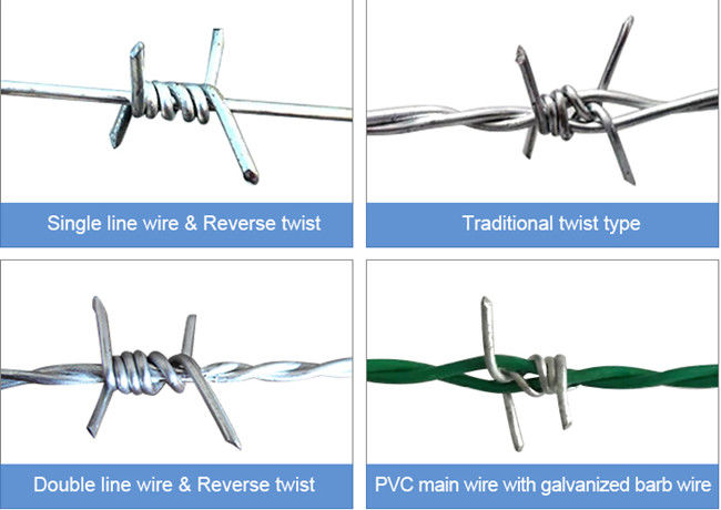 1.5cm 1.6mm Length Hot Dipped Galvanized Barbed Wire 15 Gauge Rust Proof 0