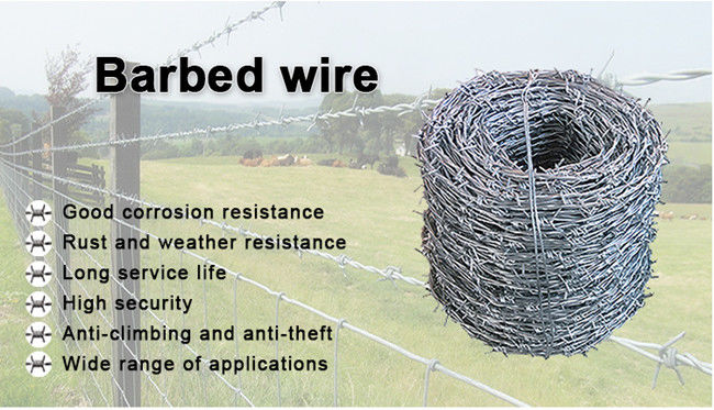 Q235 4 Points Double Twisted Barbed Wire Weather Resistance Cow Wire Fence 0