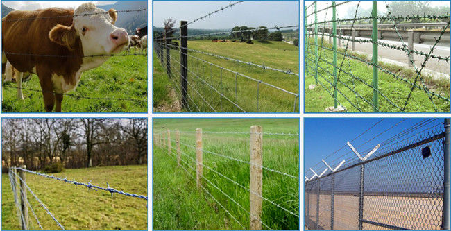 Green Pvc Coated Decorative Barbed Wire With 4 Points 2 Strand Braid 1