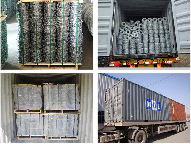 Q195 3 Points Galvanized Barbed Wire 12x12 Anti Climb Against Oxidation 2