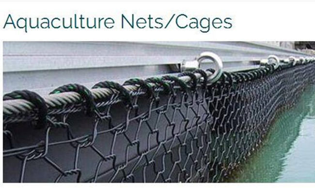 50mm* 60mm Twist Hexagonal Gabion Wire Netting Polyester OEM 3