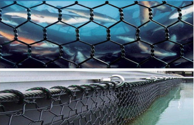 PET 1.2m Hexagonal Gabion Fish Farming Net 30mm*40mm Aquaculture Cage 3