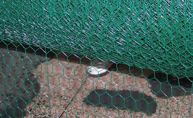 Vinyl Coated Straight Twist Hexagonal Wire Netting For Chicken 2