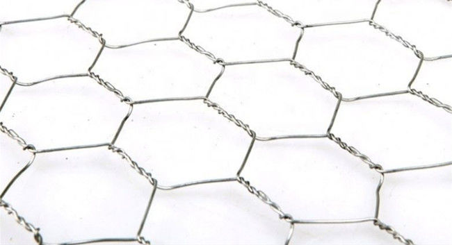 HDG Hexagonal Chicken Mesh Fence Q195 0.5m Width For Poultry 0