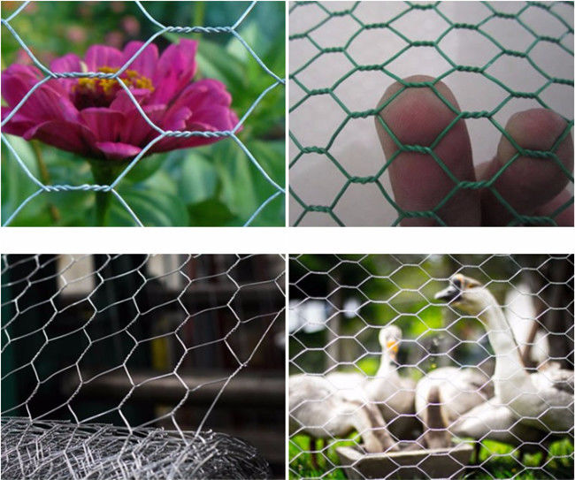 HDG Hexagonal Chicken Mesh Fence Q195 0.5m Width For Poultry 1