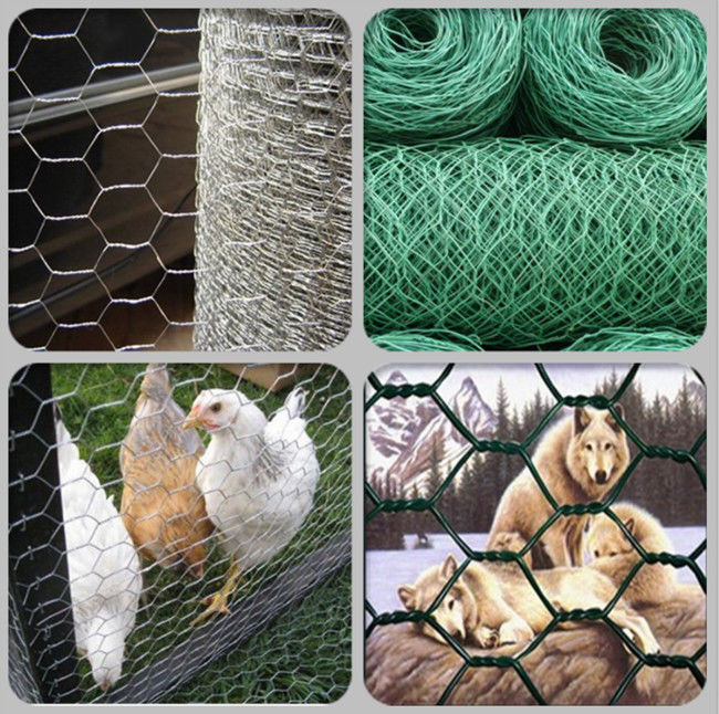 25mm Green Black Vinyl Coated Chicken Wire Fencing 1in 20 Gauge Poultry Netting 1