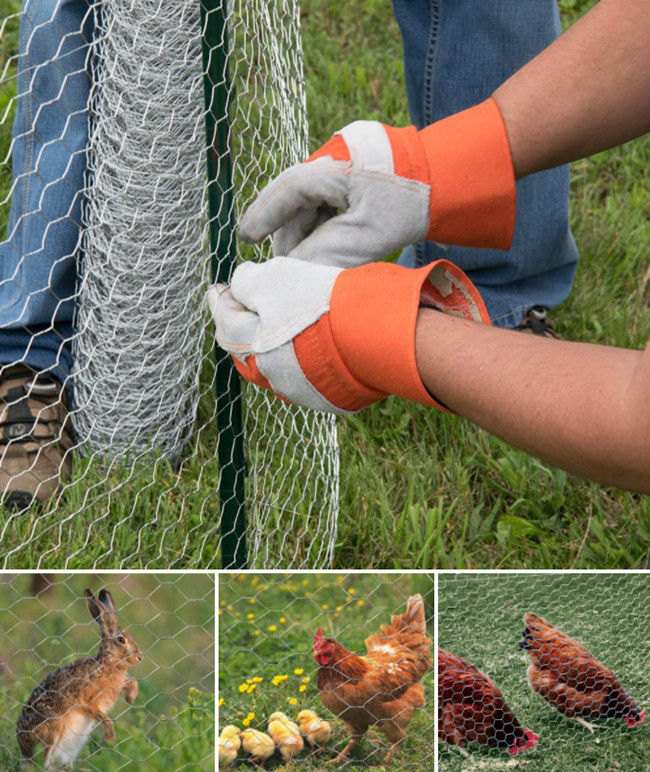 4ft Galvanized Poultry Hexagonal Wire Netting PVC Coated Chicken Wire BWG 12 2