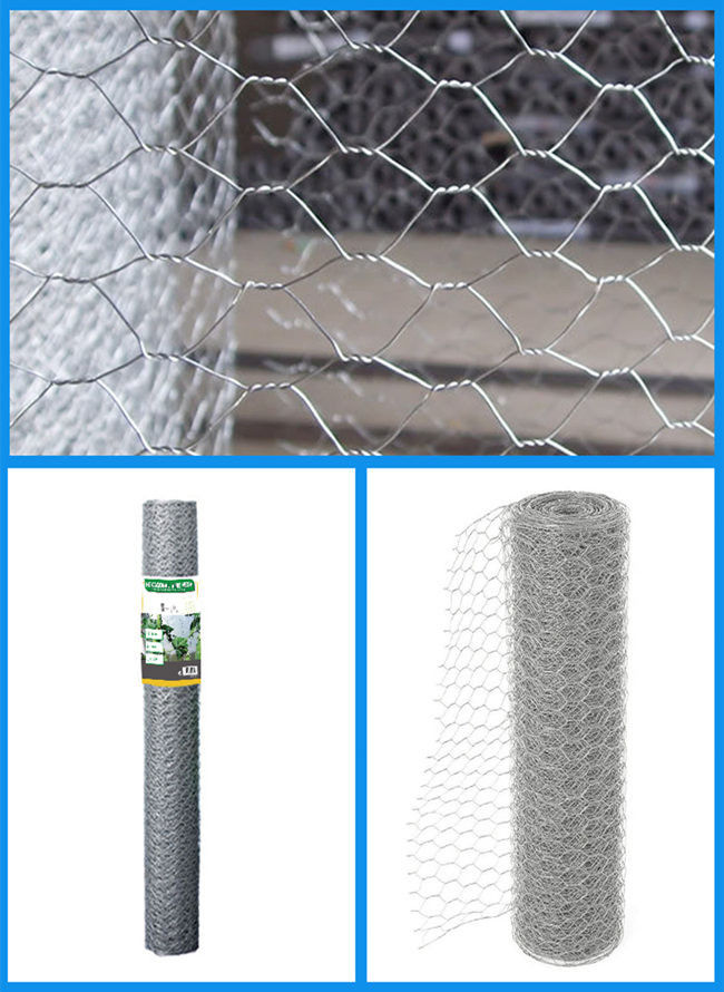Galvanized 19 Gauge Chicken Wire 1800mm Poultry Netting Fence Normal Twist 0