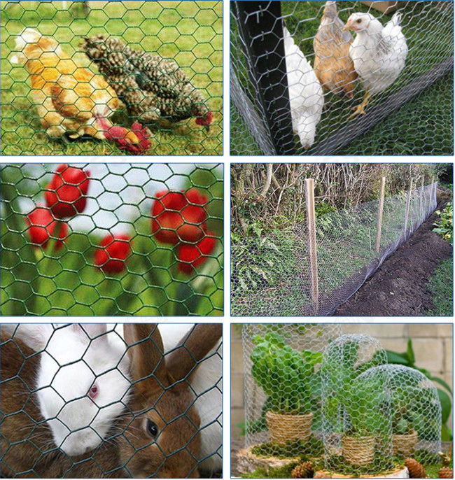 0.42mm Galvanized 1.2m High Chicken Wire Mesh Fence For Rabbits Cage 1