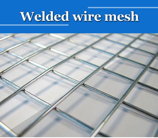 Galvanized Steel 3d Welded Wire Mesh Panels For Farm Fence And Household Cage 0