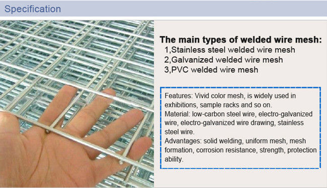 1x2 Welded 6mm Galvanised Mesh Rolls BWG 14 15 16 Gauge Rust Proof 0
