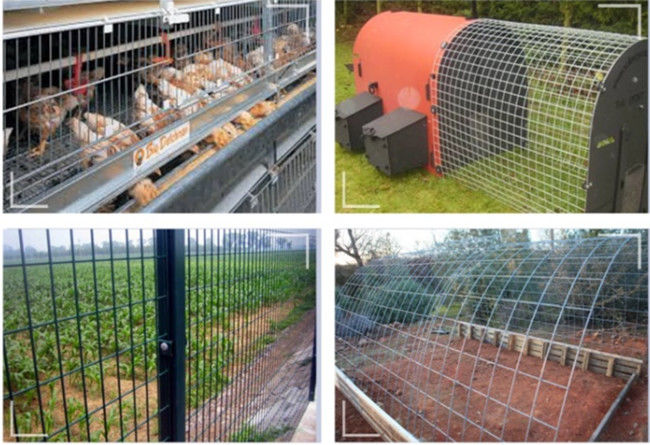 Silver 2×2in 2×4 BWG 13 Galvanized Wire Mesh Sheets Panels 2.11mm High Tensile 2