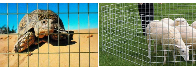 50×50×2.5mm Metal Cage Powder Coated Wire Mesh Panels 2.2m Galvanized Steel 2